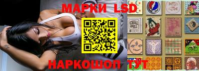 a pvp Заводоуковск