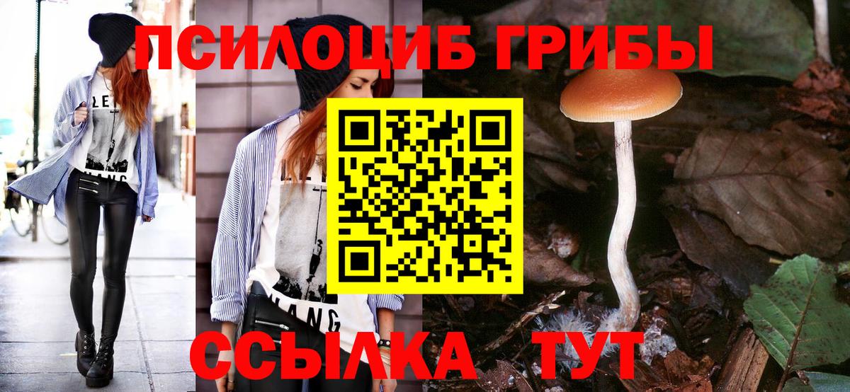 Кашира  Галлюциногенные грибы MAGIC MUSHROOMS  Вход с VPN  Псилоцибиновые грибы мицелий 