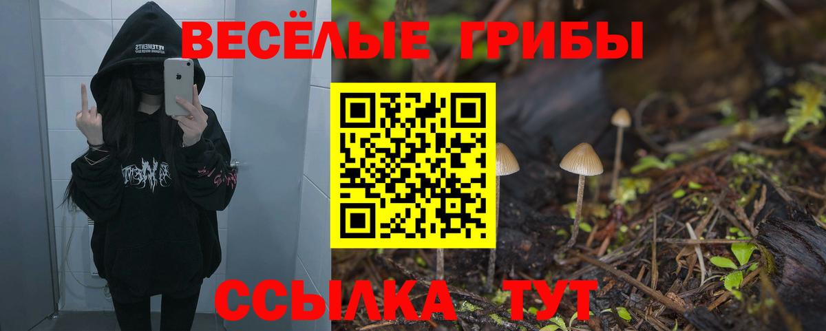 Псилоцибиновые грибы GOLDEN TEACHER Кашира